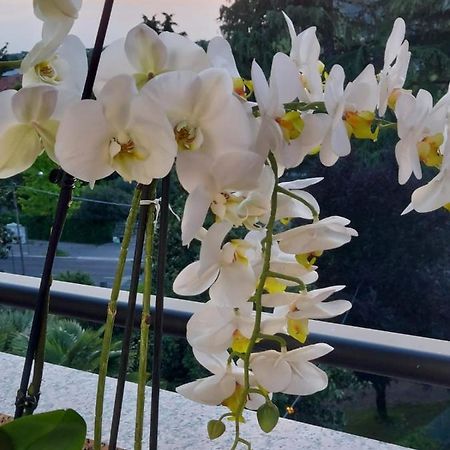 Alloggio Orchidea Monfalcone Ngoại thất bức ảnh