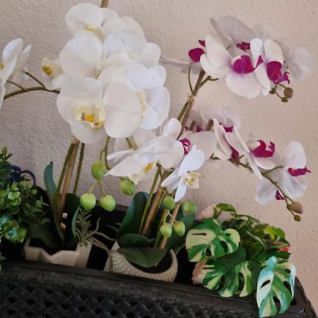 Alloggio Orchidea Monfalcone Ngoại thất bức ảnh